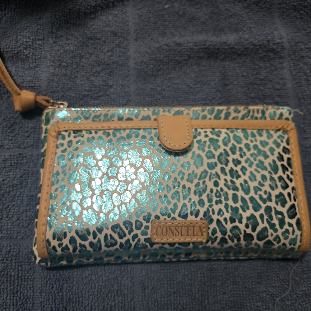 Consuela Blue and Tan Women's Bag